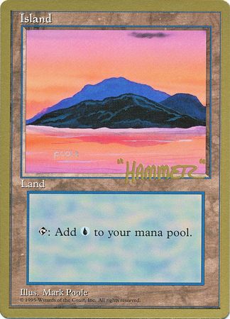 Island 3 New York City February 1996 Beta Art Magic The Gathering World Championships 1996 Singles Island 3 New York City February 1996 Beta Art Magic The Gathering World Championships 1996 Singles