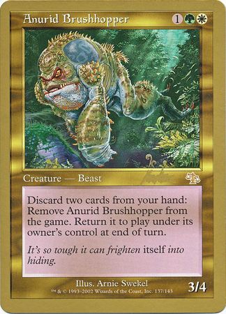 Anurid Brushhopper - Magic Vintage | TrollAndToad