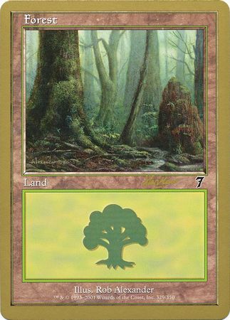 Forest 329 Sydney August 2002 MTG 7th Edition Art Forest 329 Sydney August 2002 MTG 7th Edition Art