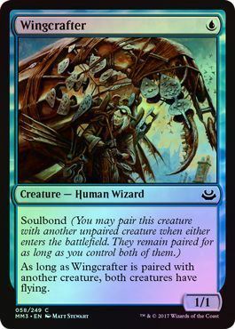 Wingcrafter 058 249 Foil Wingcrafter 058 249 Foil