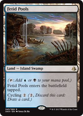 Fetid Pools 243 269 Fetid Pools 243 269
