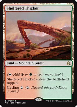 Sheltered Thicket 248 269 Amonkhet Singles Sheltered Thicket 248 269 Amonkhet Singles