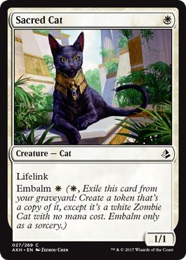Sacred Cat 027 269 Amonkhet Singles Sacred Cat 027 269 Amonkhet Singles