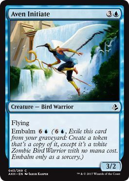 Aven Initiate 043 269 Amonkhet Singles Aven Initiate 043 269 Amonkhet Singles