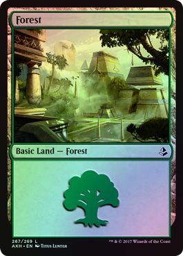 Forest 267 269 Foil Amonkhet Foil Singles Forest 267 269 Foil Amonkhet Foil Singles