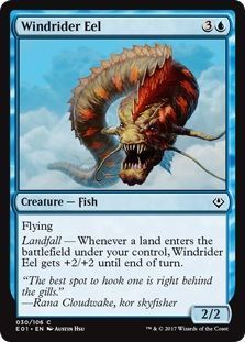 Windrider Eel 030 106 Windrider Eel 030 106