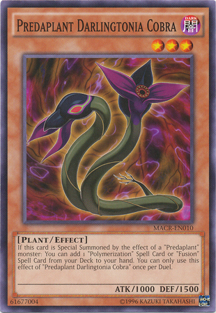 Predaplant Darlingtonia Cobra MACR EN010 Common Unlimited Predaplant Darlingtonia Cobra MACR EN010 Common Unlimited