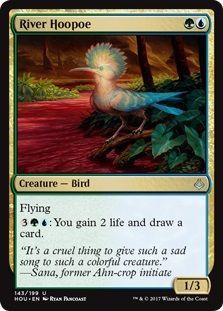 River Hoopoe 143 199 River Hoopoe 143 199