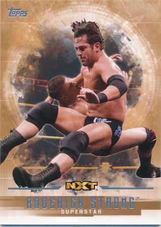 Roderick Strong Bronze 99 Base Parallel Variant Topps WWE Undisputed 2017 Trading Card Singles Roderick Strong Bronze 99 Base Parallel Variant Topps WWE Undisputed 2017 Trading Card Singles