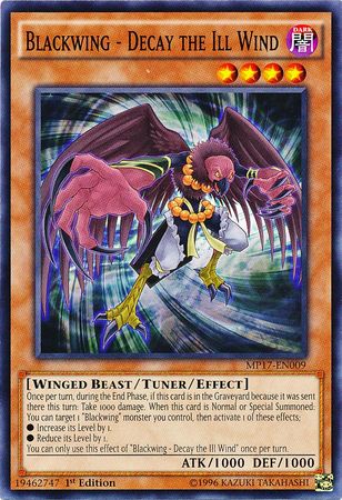 Blackwing Decay the Ill Wind MP17 EN009 Common 1st Edition 2017 Mega Tins 1st Edition Singles Blackwing Decay the Ill Wind MP17 EN009 Common 1st Edition 2017 Mega Tins 1st Edition Singles