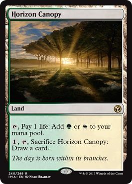 Horizon Canopy 240 249 Horizon Canopy 240 249