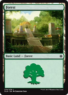 Forest 276 279 Forest 276 279