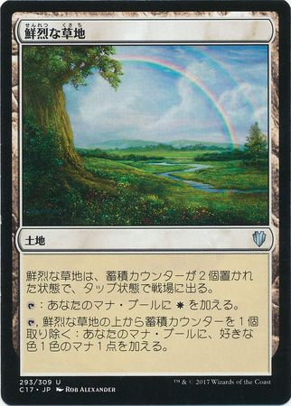 Vivid Meadow Japanese 293 309 Vivid Meadow Japanese 293 309