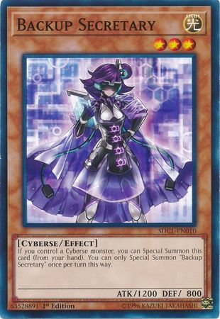Backup Secretary SDCL EN010 Common 1st Edition Backup Secretary SDCL EN010 Common 1st Edition