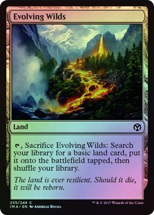 Evolving Wilds 235 249 Foil Evolving Wilds 235 249 Foil
