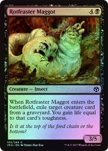 Rotfeaster Maggot 105 249 Foil Iconic Masters Foil Singles Rotfeaster Maggot 105 249 Foil Iconic Masters Foil Singles