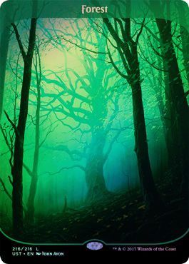 Forest 216 216 Full Art Foil Forest 216 216 Full Art Foil