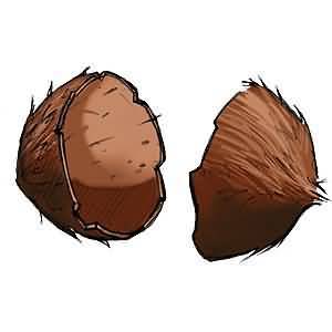 Coconut Halves R 110 Mage Knight Dark Riders Coconut Halves R 110 Mage Knight Dark Riders