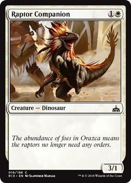 Raptor Companion 019 196 Rivals of Ixalan Singles Raptor Companion 019 196 Rivals of Ixalan Singles