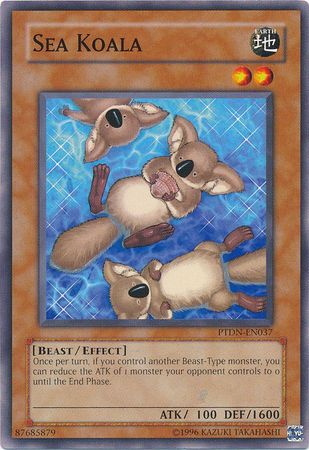 Sea Koala PTDN EN037 Common Unlimited Phantom Darkness PTDN Unlimited Singles Sea Koala PTDN EN037 Common Unlimited Phantom Darkness PTDN Unlimited Singles