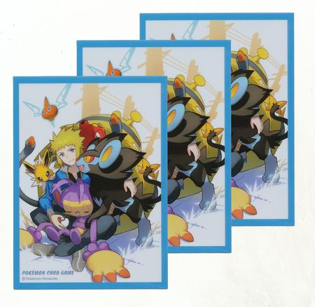 Pokemon Center Japanese Volkner 64ct Standard Sleeves 191911 Sleeves Pokemon Center Japanese Volkner 64ct Standard Sleeves 191911 Sleeves