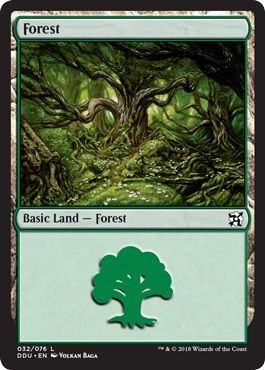 Forest 032 076 Forest 032 076