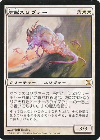 Pulmonic Sliver 36 301 Japanese Time Spiral Pulmonic Sliver 36 301 Japanese Time Spiral
