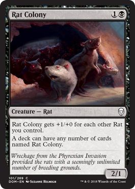 Rat Colony 101 269 Rat Colony 101 269