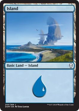 Island 255 269 Dominaria Singles Island 255 269 Dominaria Singles
