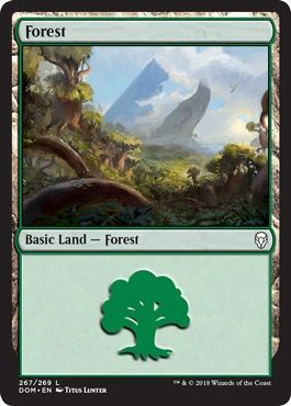 Forest 267 269 Dominaria Singles Forest 267 269 Dominaria Singles