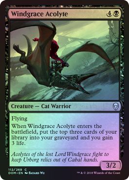 Windgrace Acolyte 112 269 Foil Dominaria Foil Singles Windgrace Acolyte 112 269 Foil Dominaria Foil Singles