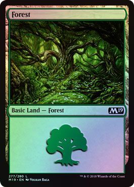 Forest 277 280 Foil Magic 2019 M19 Foil Singles Forest 277 280 Foil Magic 2019 M19 Foil Singles