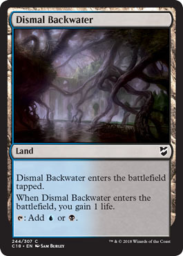 Dismal Backwater 244 307 Dismal Backwater 244 307