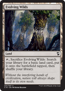 Evolving Wilds 245 307 Evolving Wilds 245 307