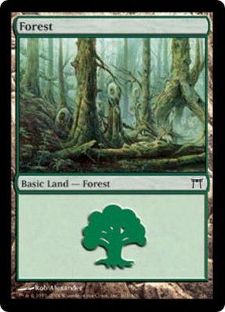 Forest 303 Forest 303