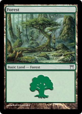 Forest 304 Forest 304