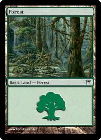 Forest 305 Forest 305