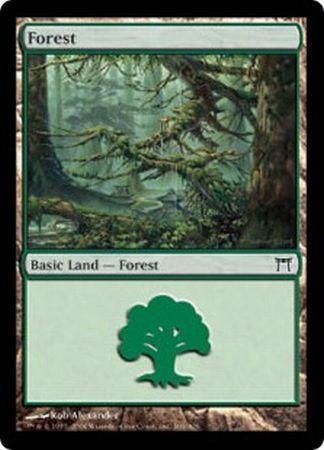 Forest 306 Forest 306