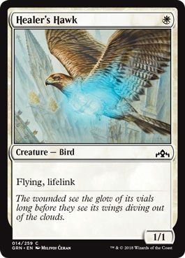 Healer s Hawk 014 259 Guilds of Ravnica Singles Healer s Hawk 014 259 Guilds of Ravnica Singles