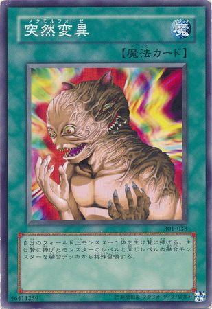 Metamorphosis 301 038 Common Japanese Metamorphosis 301 038 Common Japanese