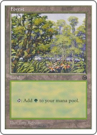 Forest 1 Forest 1