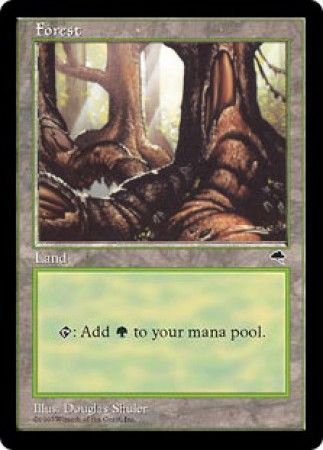 Forest 2 Tempest Singles Forest 2 Tempest Singles