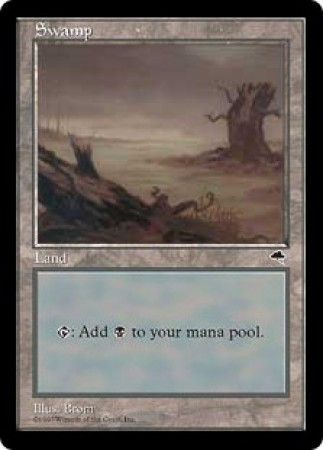 Swamp 2 Swamp 2