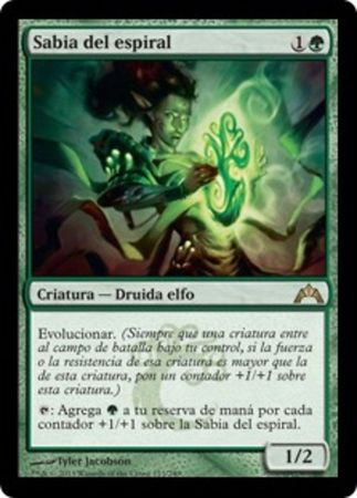 Sabia del espiral Gyre Sage Sabia del espiral Gyre Sage