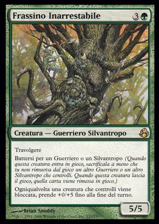 Frassino Inarrestabile Unstoppable Ash Morningtide Italian Singles Frassino Inarrestabile Unstoppable Ash Morningtide Italian Singles