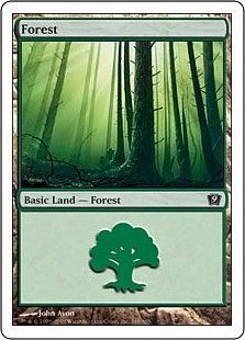 Forest 348 Forest 348