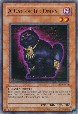 A Cat of Ill Omen DR1 EN018 Common A Cat of Ill Omen DR1 EN018 Common