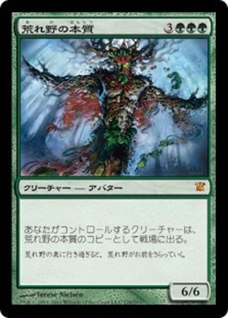 Japanese Essence of the Wild 178 264 Innistrad Japanese Singles Japanese Essence of the Wild 178 264 Innistrad Japanese Singles