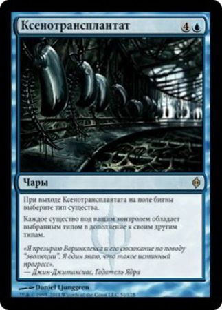 Russian Xenograft 51 175 Russian Xenograft 51 175