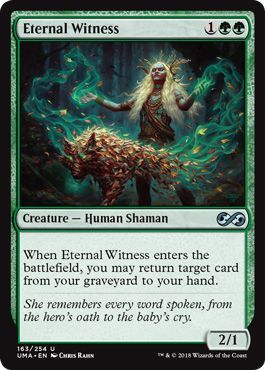 collected company eternal witness